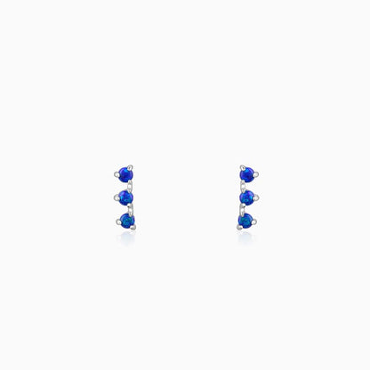 Silver Elegantly Attractive Earrings