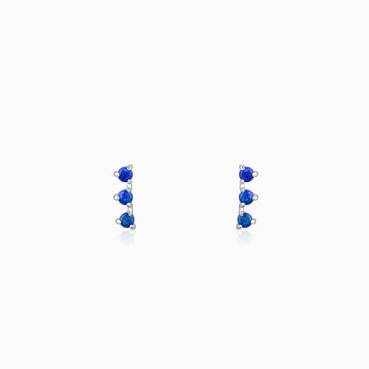 Silver Elegantly Attractive Earrings